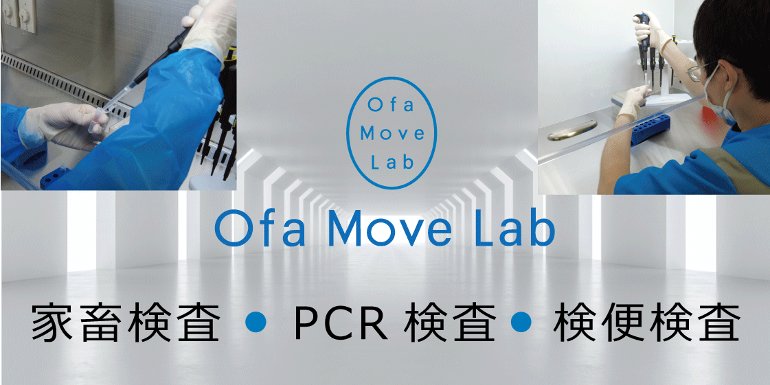 OFA Move Lab